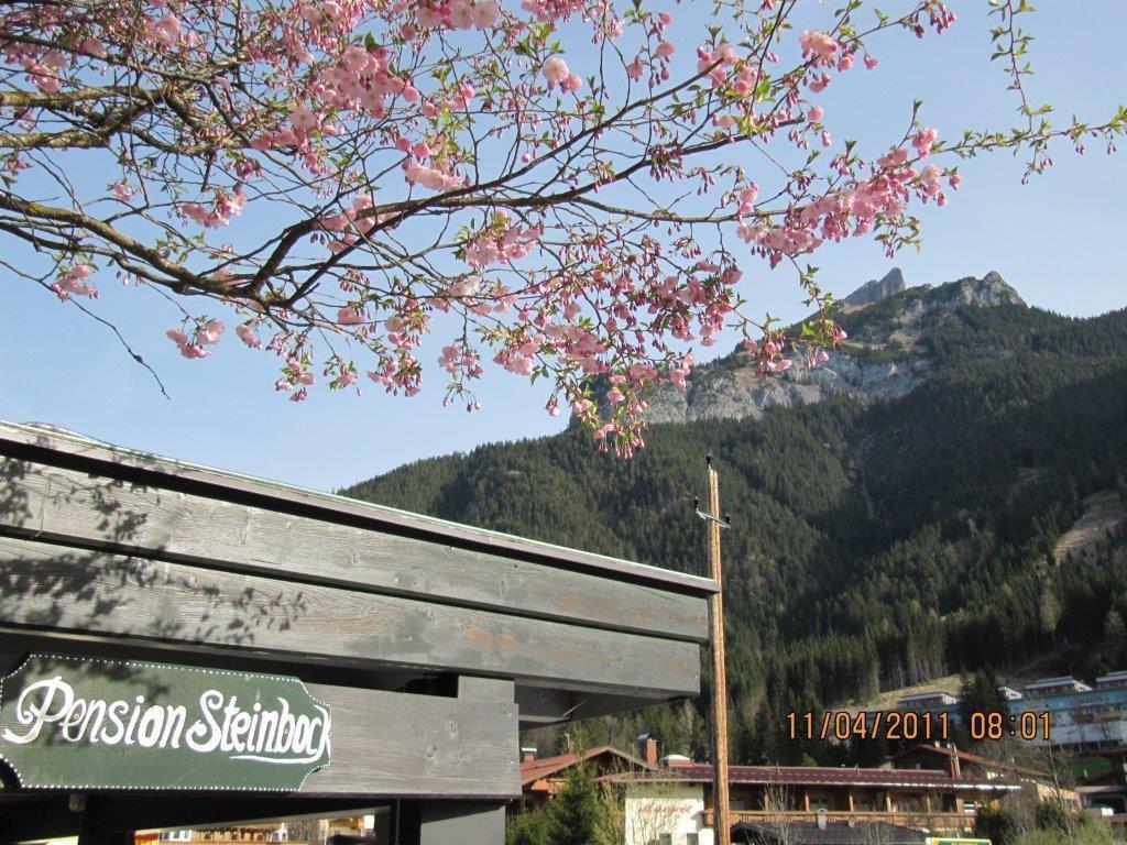 Gasthof Steinbock 3*